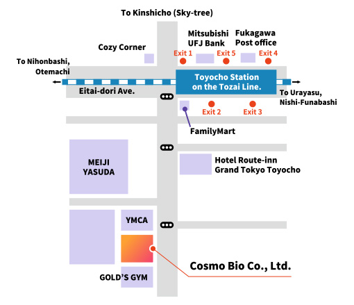 Map：Head Office