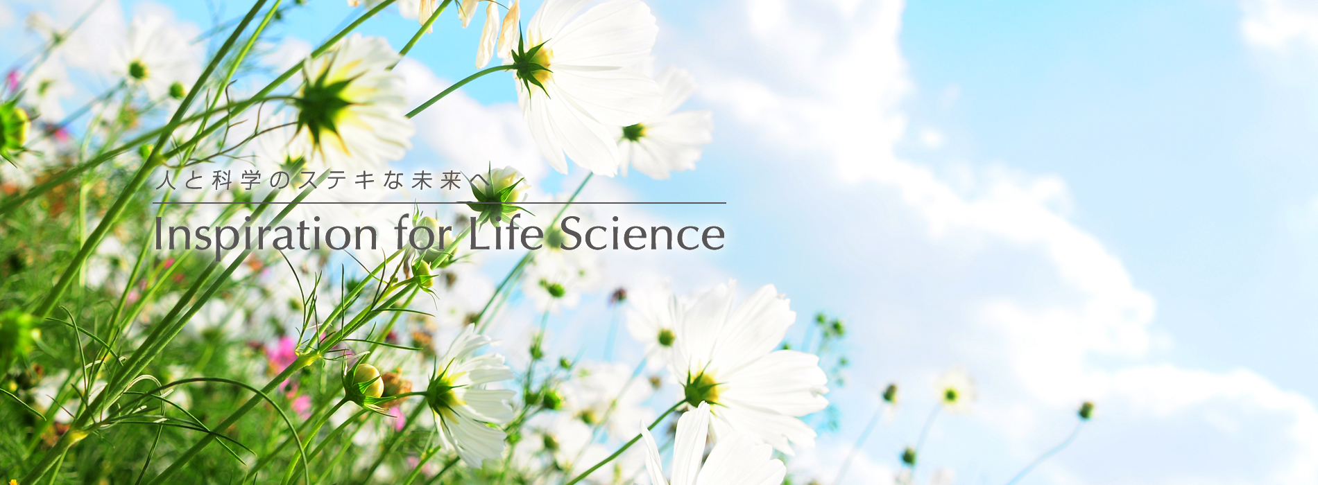 人と科学のステキな未来へ Inspiration for Life Science