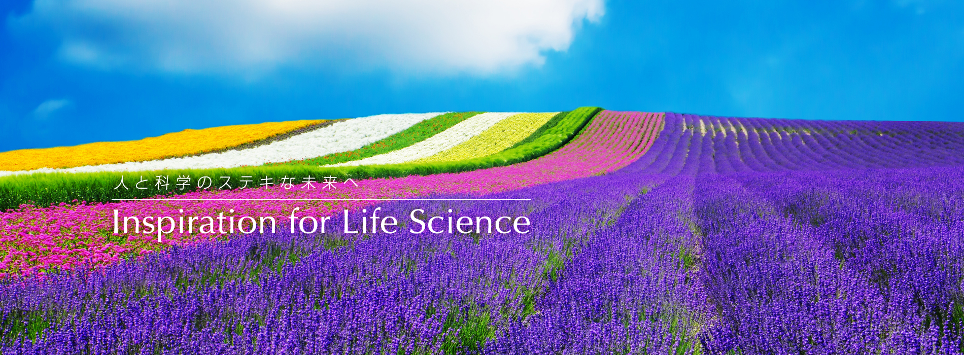 人と科学のステキな未来へ Inspiration for Life Science