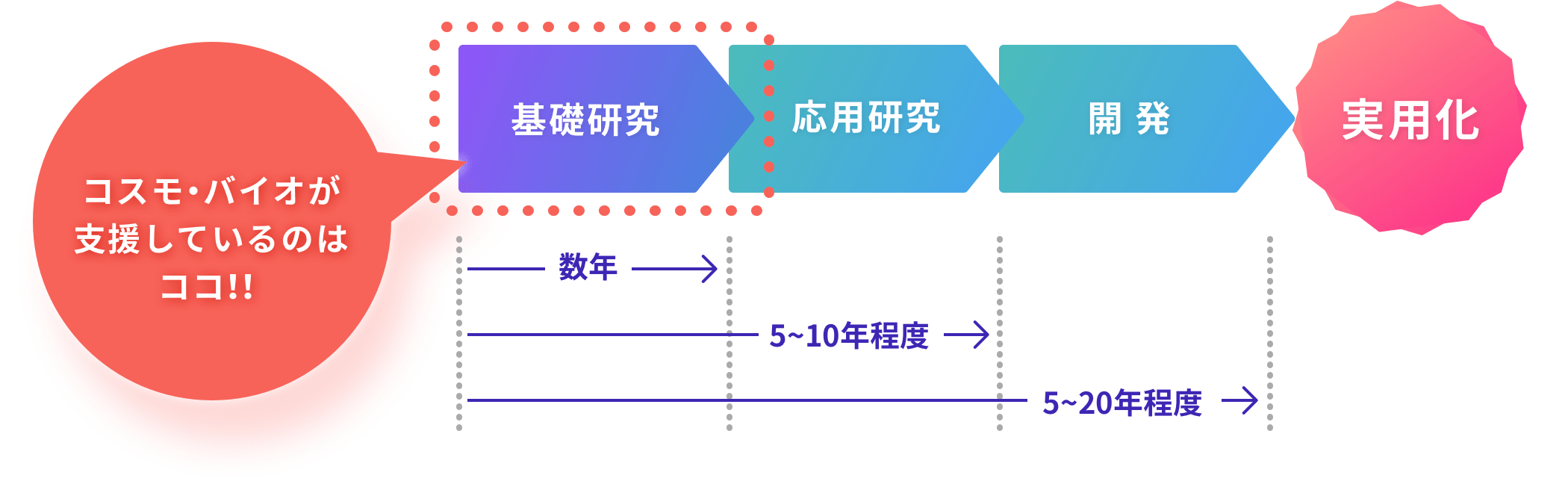 コスモ・バイオが支援しているのはココ！！