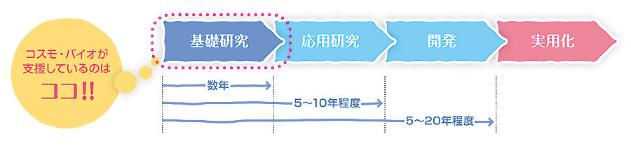 ライフサイエンス研究は「基礎研究」→「応用研究」→「開発」→「実用化」の4つのステージを経て、初めて私たちの身近な商品や技術として登場します。