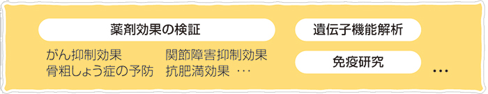 細胞を使って、どんな研究をするの？