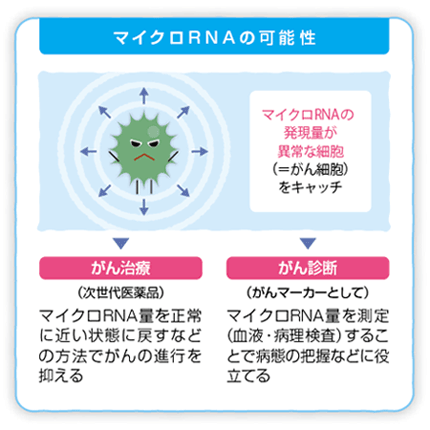 マイクロRNAの可能性