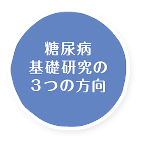 糖尿病基礎研究の3つの方向