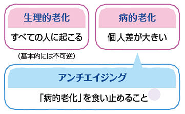 病的老化を防ぐ取り組みが「アンチエイジング」