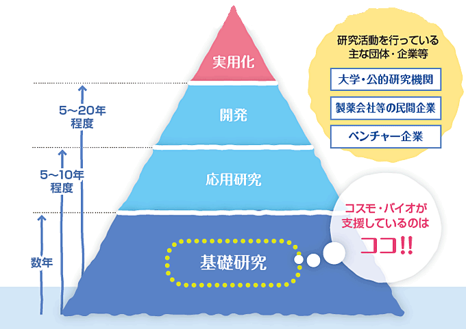 コスモ・バイオは「基礎研究」を支援しています。