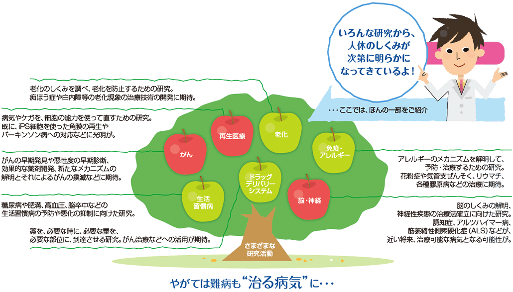 さまざまな研究活動：がん、再生医療、老化、免疫・アレルギー、生活習慣病、ドラッグデリバリーシステム、脳・神経