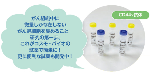 がん組織中に微量しか存在しないがん幹細胞を集めることが研究の第一歩。これがコスモ・バイオの試薬で簡単に！更に便利な試薬も開発中！