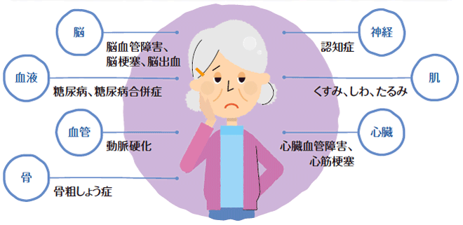 AGEs（終末糖化産物）がからだに与える影響