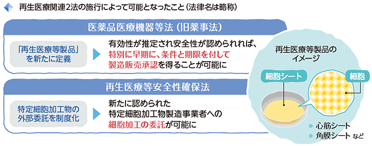 再生医療関連2法の施行によって可能となったこと（法律名は略称）