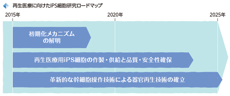 再生医療に向けたiPS細胞研究ロードマップ