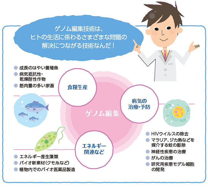 ゲノム編集技術は、ヒトの生活に係わるさまざまな問題の解決につながる技術です。