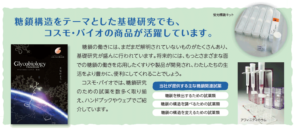 糖鎖構造をテーマとした基礎研究でも、コスモ・バイオの商品が活躍しています。