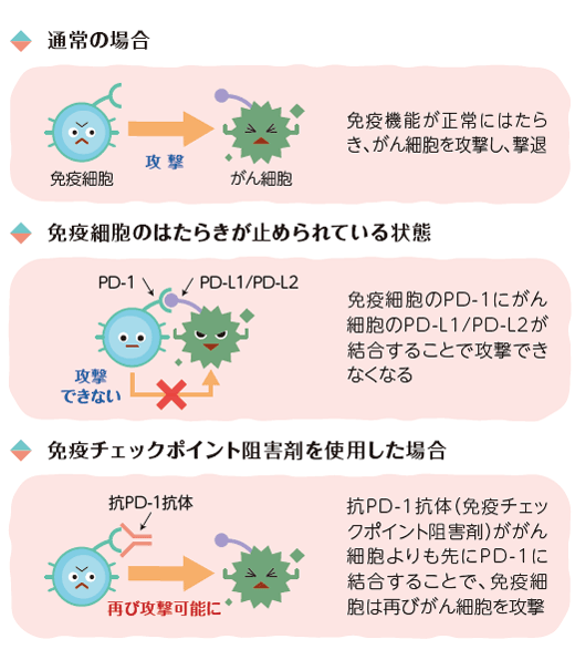 免疫チェックポイント阻害剤