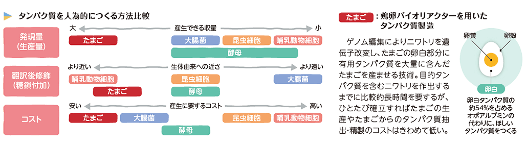 タンパク質を人為的につくる方法比較