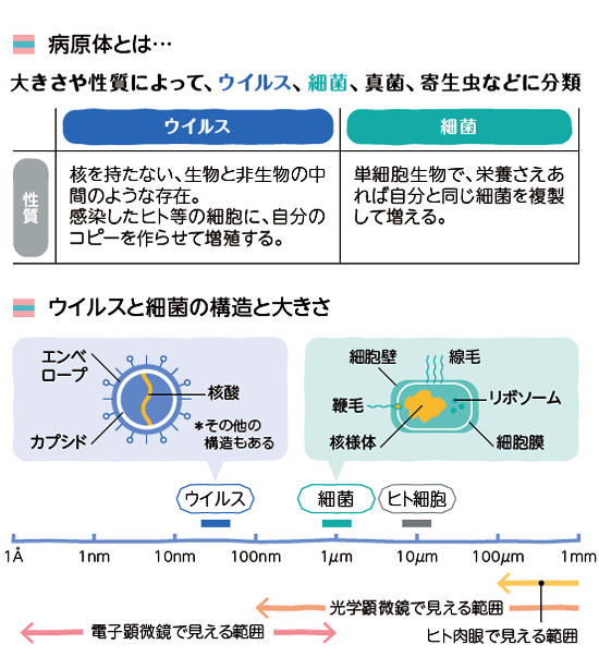 病原体とは