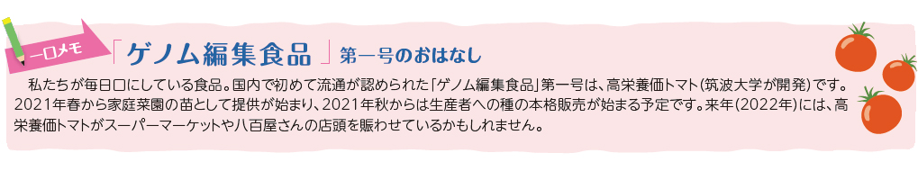 私たちが毎日口にしている食品。国内で初めて流通が認められた「ゲノム編集食品」第一号は、高栄養価トマト（筑波大学が開発）です。2021年春から家庭菜園の苗として提供が始まり、2021年秋からは生産者への種の本格販売が始まる予定です。来年（2022年）には、高栄養価トマトがスーパーマーケットや八百屋さんの店頭を賑わせているかもしれません。