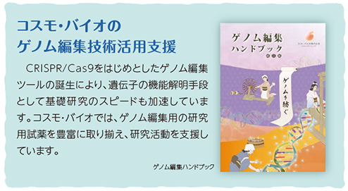 コスモ・バイオのゲノム編集技術活用支援