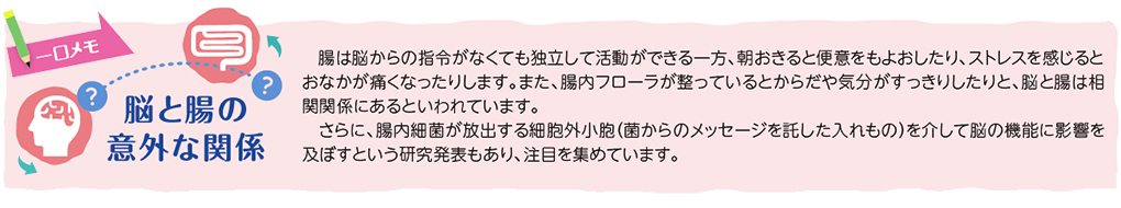 腸は脳からの指令がなくても独立して活動ができる一方、朝おきると便意をもよおしたり、ストレスを感じるとおなかが痛くなったりします。また、腸内フローラが整っているとからだや気分がすっきりしたりと、脳と腸は相関関係にあるといわれています。さらに、腸内細菌が放出する細胞外小胞（菌からのメッセージを託した入れもの）を介して脳の機能に影響を及ぼすという研究発表もあり、注目を集めています。