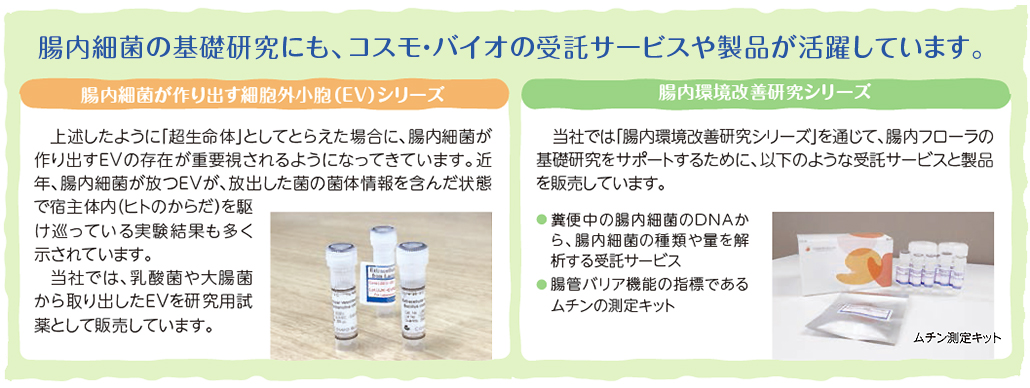 腸内細菌の基礎研究にも、コスモ・バイオの受託サービスや製品が活躍しています。「腸内細菌が作り出す細胞外小胞（EV）シリーズ」「腸内環境改善研究シリーズ」