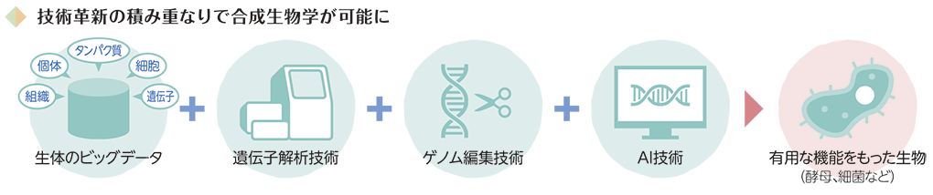 技術革新の積み重なりで合成生物学が可能に（生体のビッグデータ＋遺伝子解析技術＋ゲノム編集技術＋AI技術 → 有用な機能をもった生物（酵母・細菌など））