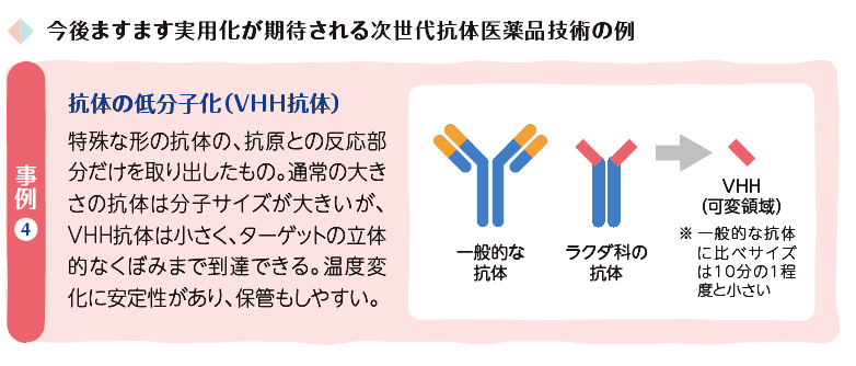 今後ますます実用化が期待される次世代抗体医薬品技術の例：抗体の低分子化（VHH抗体）