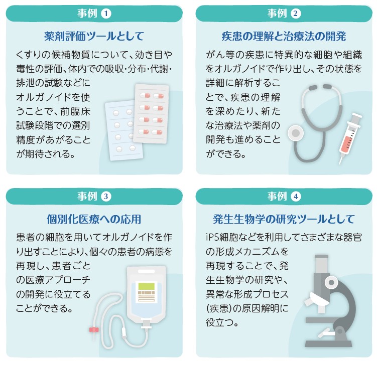 オルガノイドの可能性　事例1：薬剤評価ツールとして　事例2：疾患の理解と治療法の開発　事例3：個別化医療への応用　事例4：発生生物学の研究ツールとして