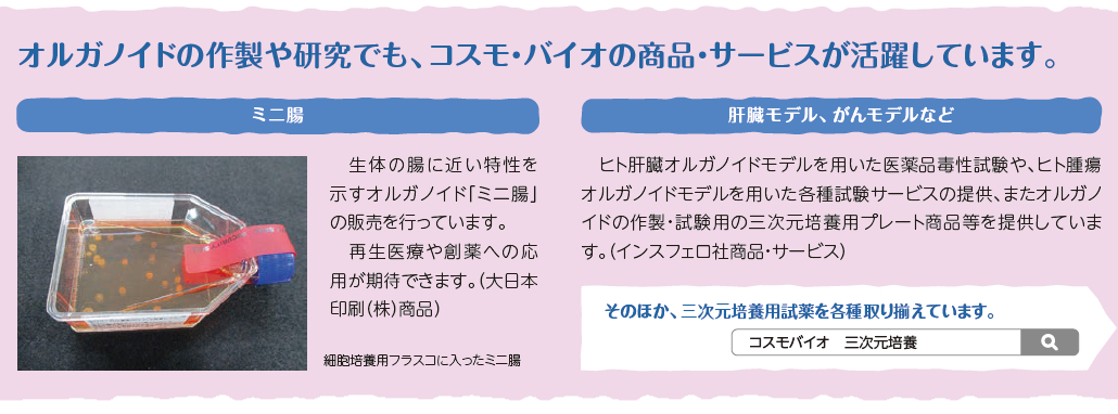 ミニ腸、肝臓モデル、がんモデルなどオルガノイドの作製や研究でも、コスモ・バイオの商品・サービスが活躍しています。