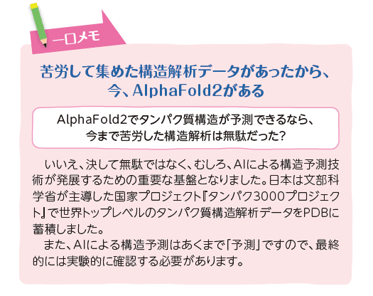 AlphaFold2でタンパク質構造が予測できるなら、今まで苦労した構造解析は無駄だった? いいえ、決して無駄ではなく、むしろ、AIによる構造予測技術が発展するための重要な基盤となりました。日本は文部科学省が主導した国家プロジェクト『タンパク3000プロジェクト』で世界トップレベルのタンパク質構造解析データをPDBに蓄積しました。また、AIによる構造予測はあくまで「予測」ですので、最終的には実験的に確認する必要があります。