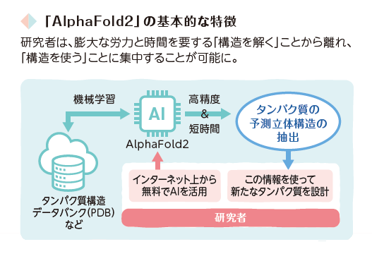 「AlphaFold2」の基本的な特徴
