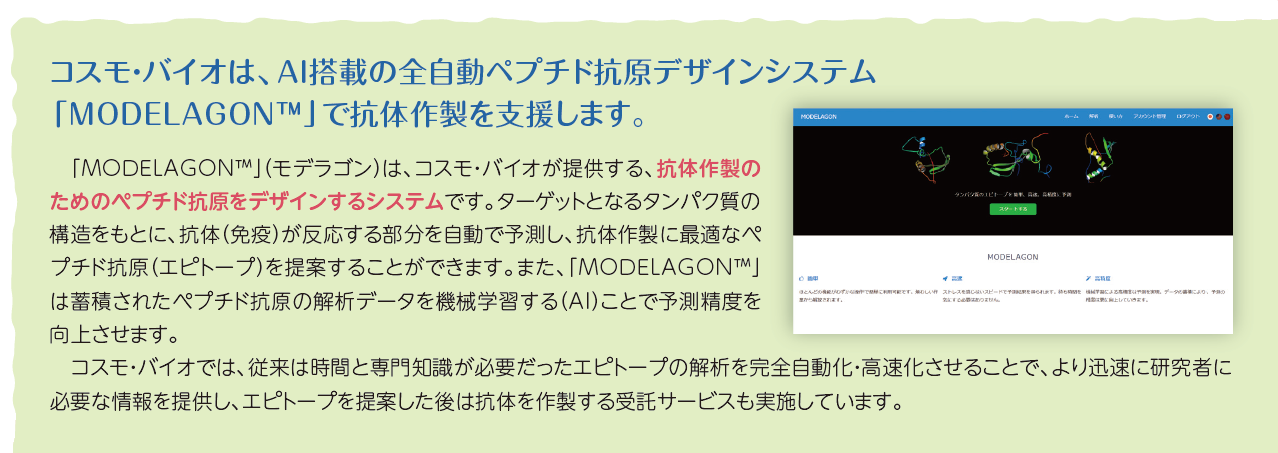 コスモ・バイオは、AI搭載の全自動ペプチド抗原デザインシステム「MODELAGON(TM)」で抗体作製を支援します。