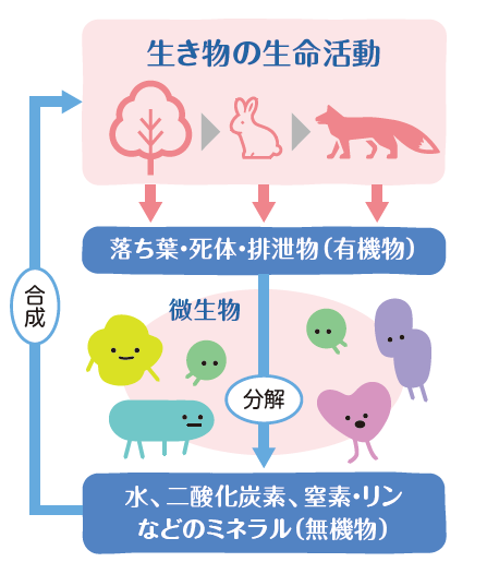 生態系での「動的平衡」