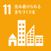 SDG11