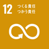 SDG12