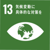 SDG13