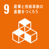 SDG9