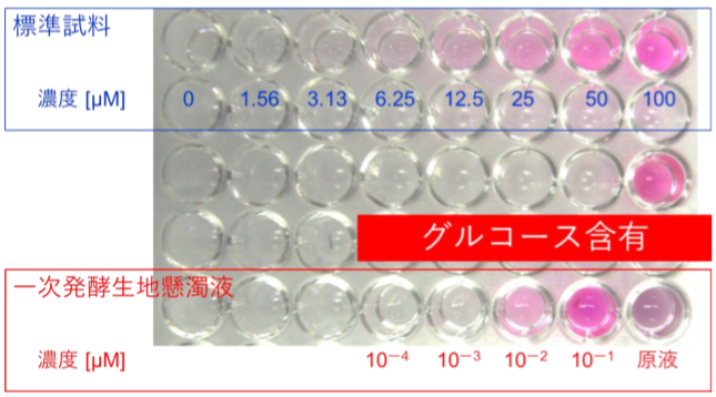 一次発酵生地中のグルコース濃度測定結果